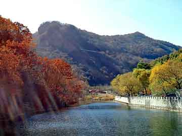 管家婆黑白马报图库，北京鸡